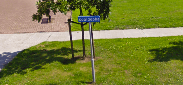 Koaidobbe 10 Dokkum
